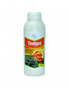 Tempo
