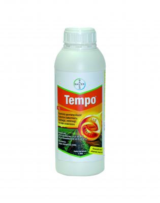 Tempo