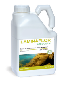 Laminaflor